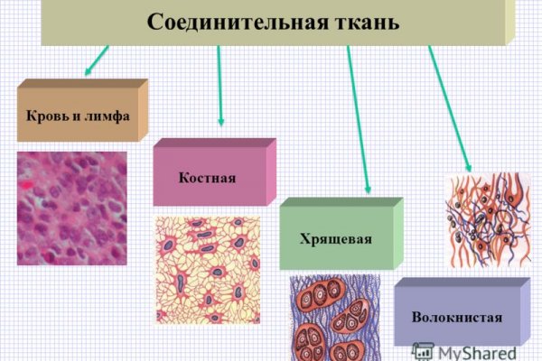 Зайти кракен через тор