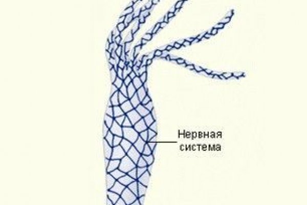 Кракен какой сайт