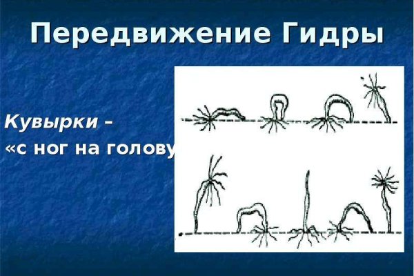 Официальный сайт даркнета