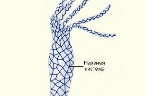 Кракен маркетплейс как зайти