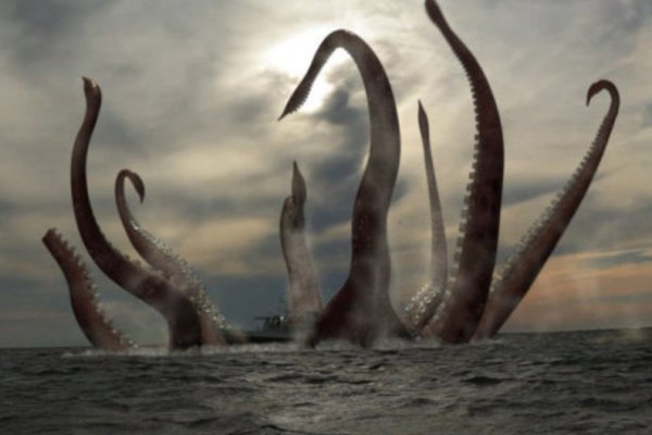 Kraken kraken dark link