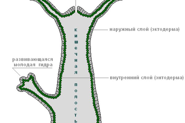 Кракен сайт kr2web in
