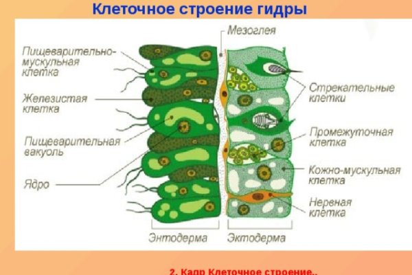 Kraken как найти ссылку