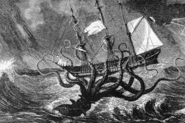 Как вывести деньги с kraken