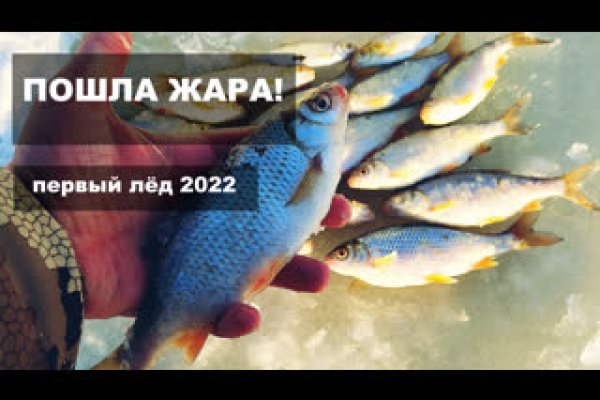 Как зайти на кракен в тор браузере