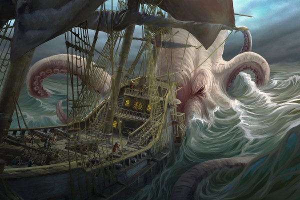 Kraken 20at net