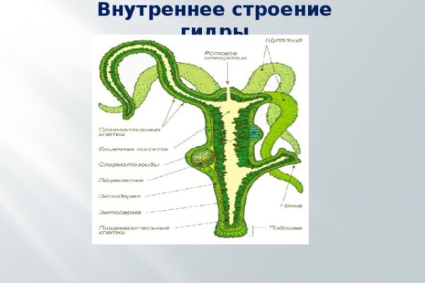 Кракен ссылка onion