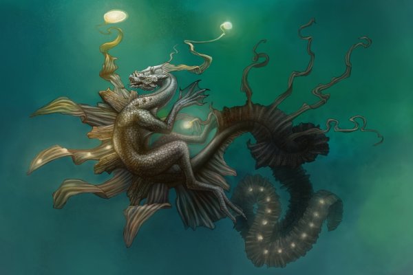 Kraken market3