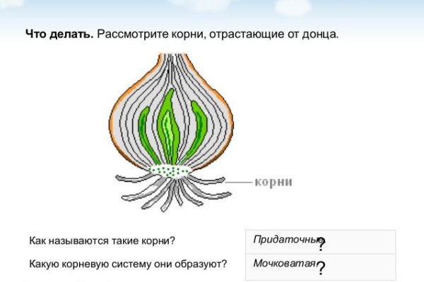 Kraken рабочий